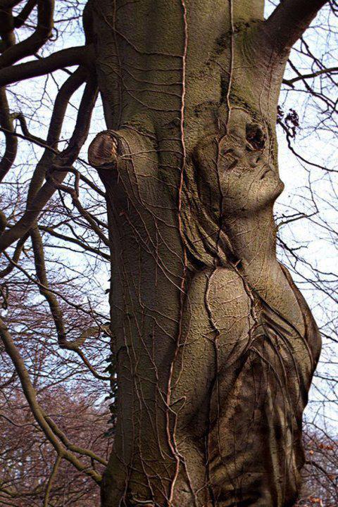 Mujer árbol