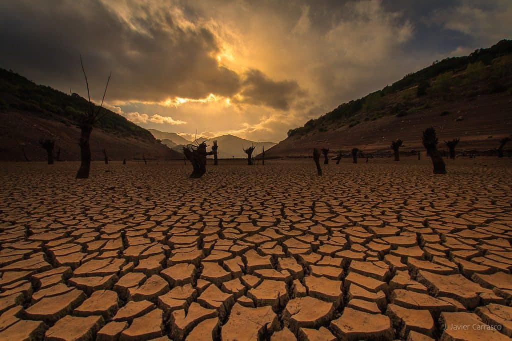 Fotografia de tierra seca agrietada hecha por Javier Carrasco